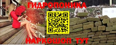 Альфа ПВП Малгобек