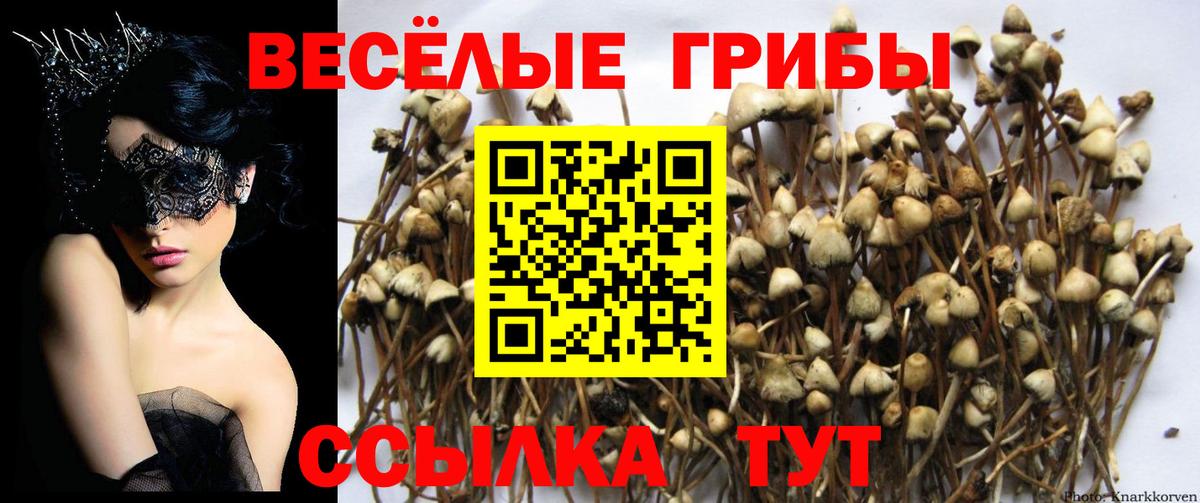 Псилоцибиновые грибы MAGIC MUSHROOMS  Вход с VPN  хочу   Учалы 